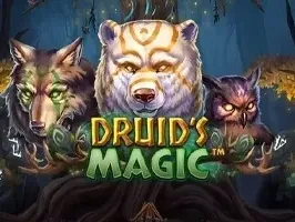 เวทมนตร์ของดรูอิด game screenshot